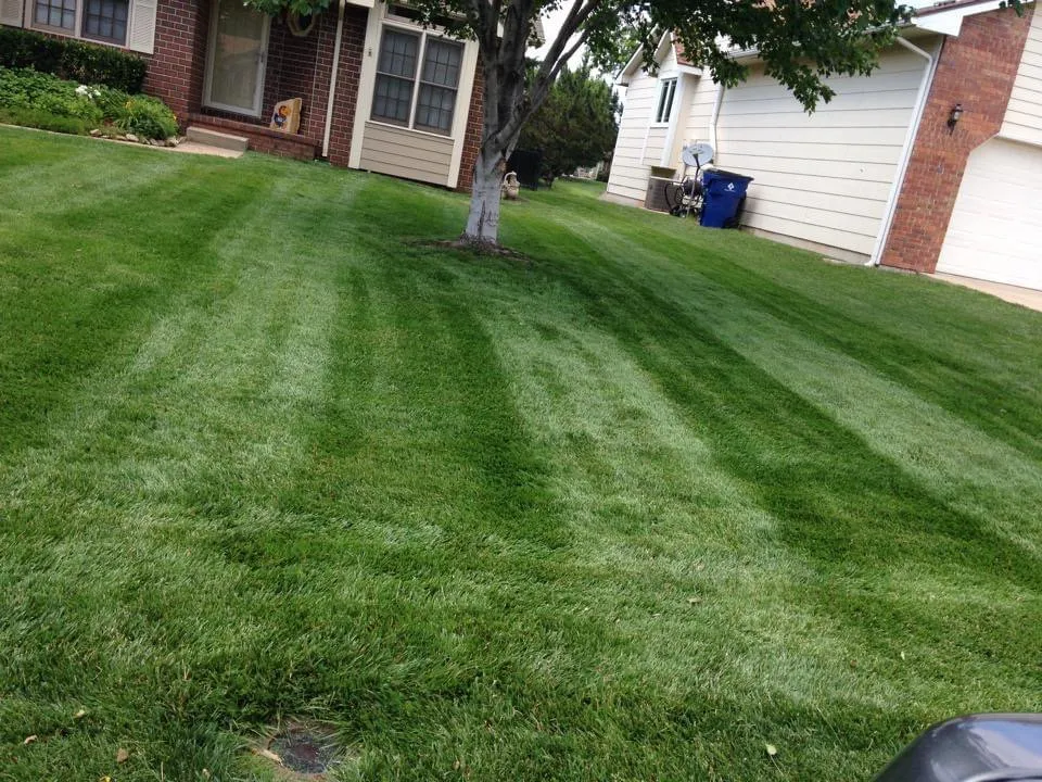 Affordable yard maintenance in Wichita, KS by Nathan’s Lawn Care