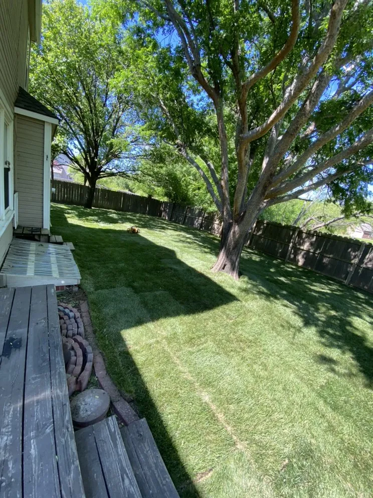 Reliable lawn care service experts serving Wichita, KS - Nathan’s Lawn Care