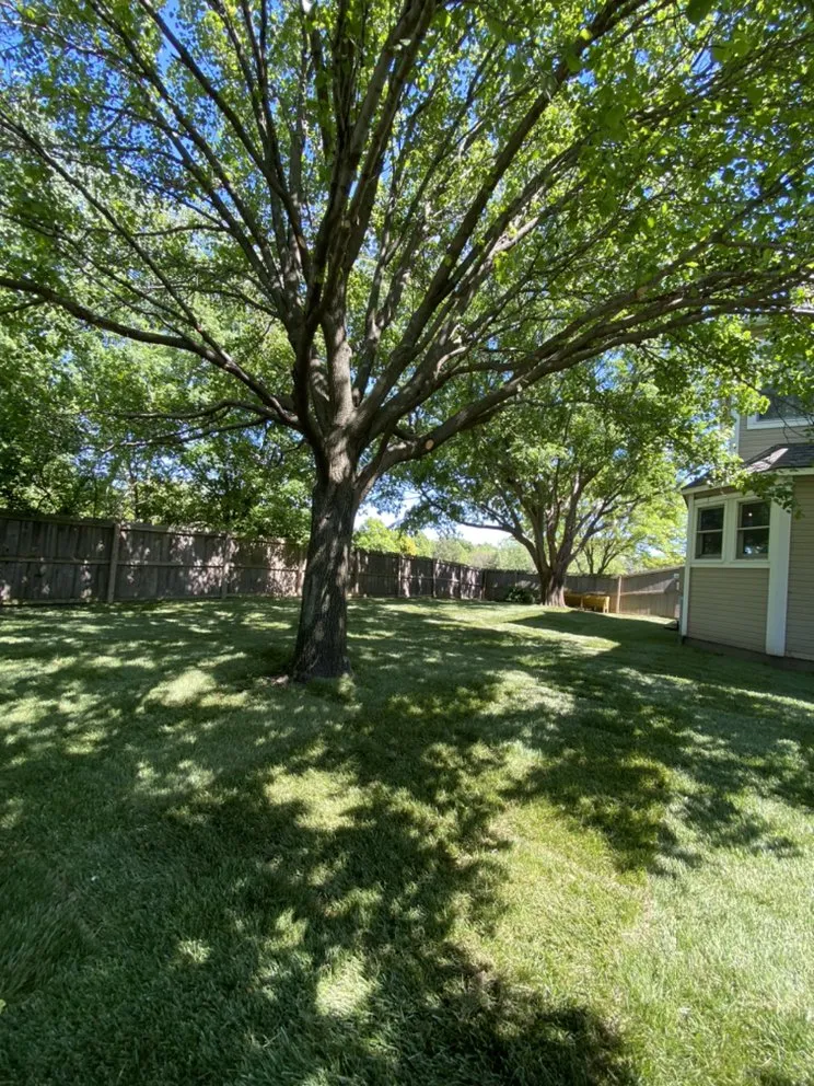 Reliable landscaping services for beautiful yards in Wichita, KS by Nathan’s Lawn Care