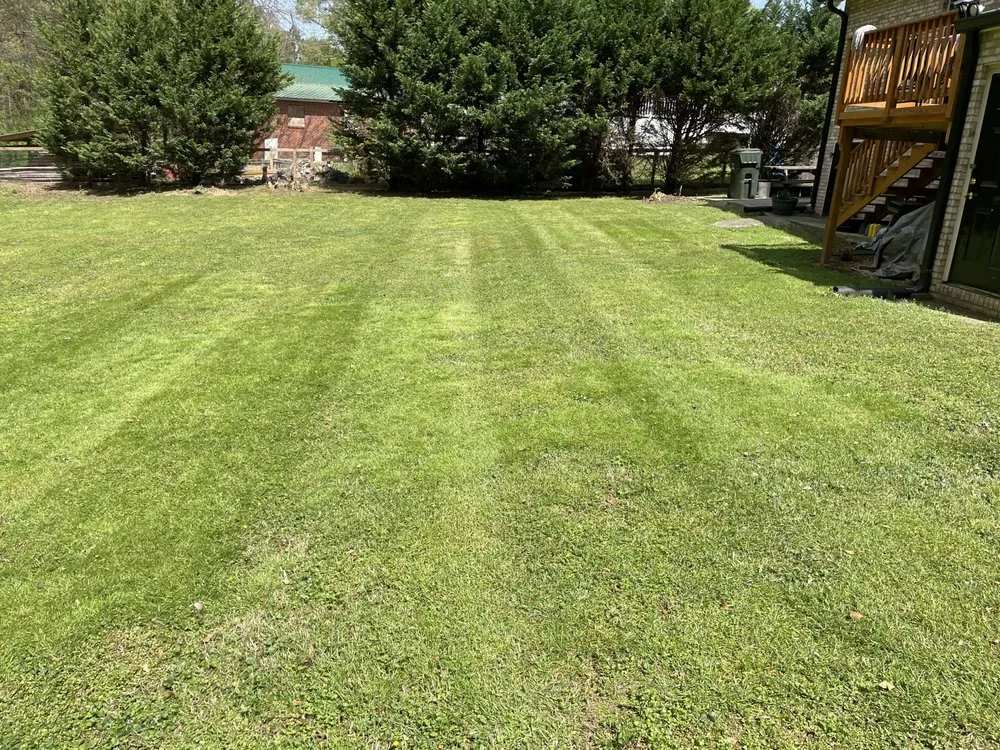 Reliable lawn mowing service in Rockwell, NC by Nathan’s Lawn Mowing Service
