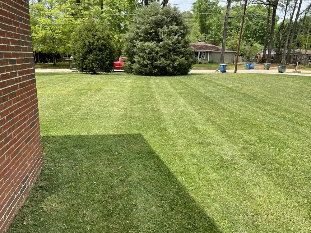 Expert yard maintenance for beautiful yards across Rockwell, NC - Nathan’s Lawn Mowing Service