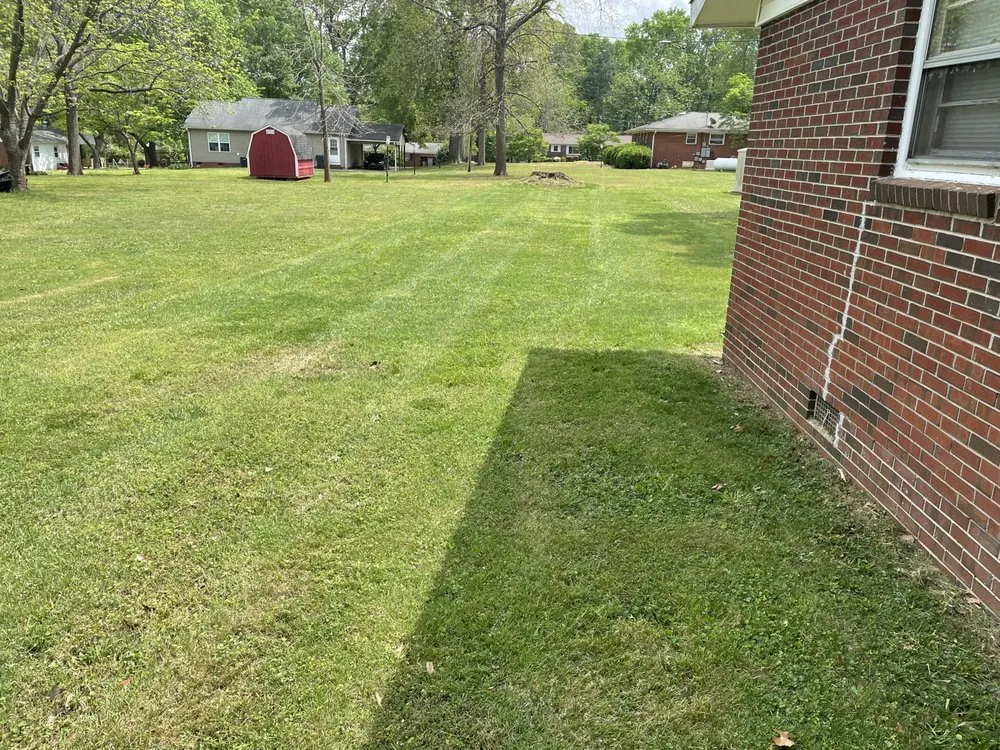 Expert landscape installation in Rockwell, NC by Nathan’s Lawn Mowing Service
