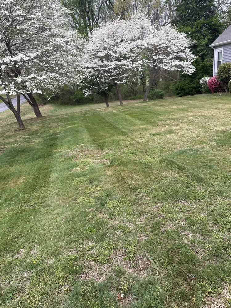 Expert lawn care service with custom design in Rockwell, NC by Nathan’s Lawn Mowing Service