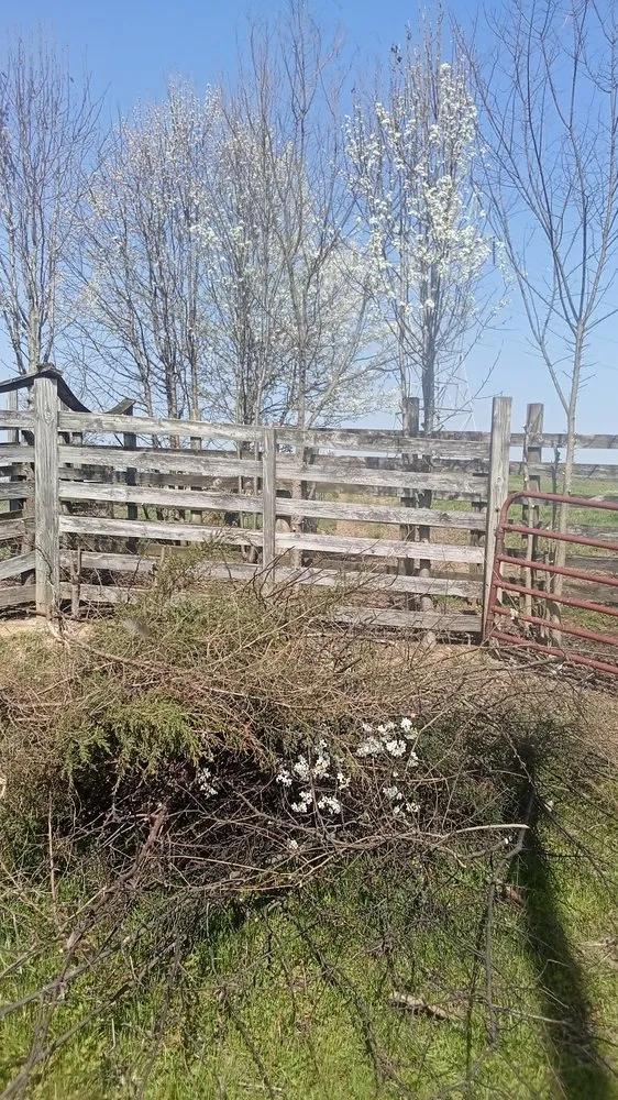 Custom landscape design experts serving Cleveland, TN - Nathan's Lawn Service