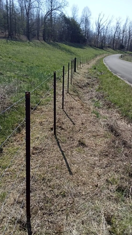 Professional yard maintenance for year-round maintenance in Cleveland, TN by Nathan's Lawn Service