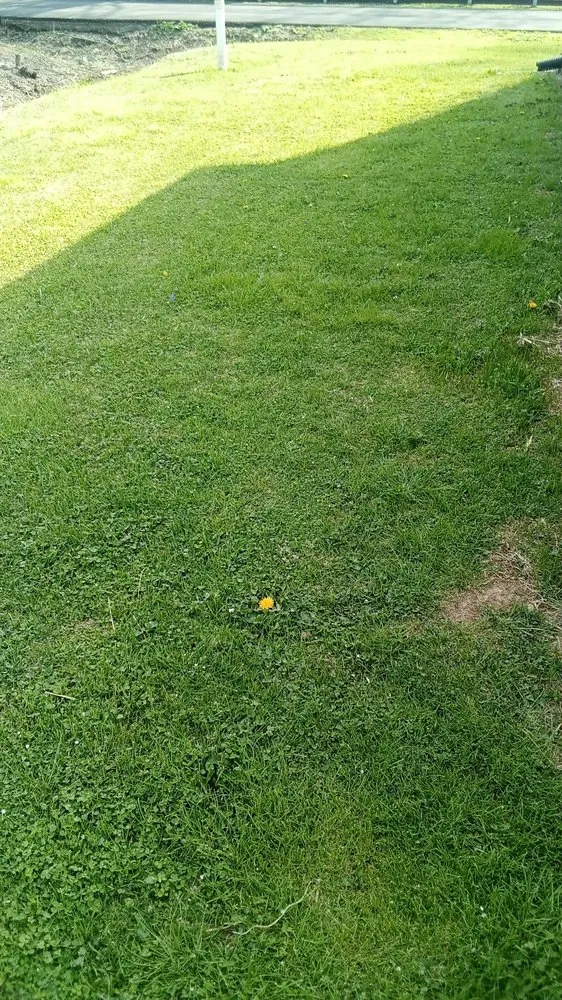 Local yard maintenance for year-round maintenance across Cleveland, TN - Nathan's Lawn Service