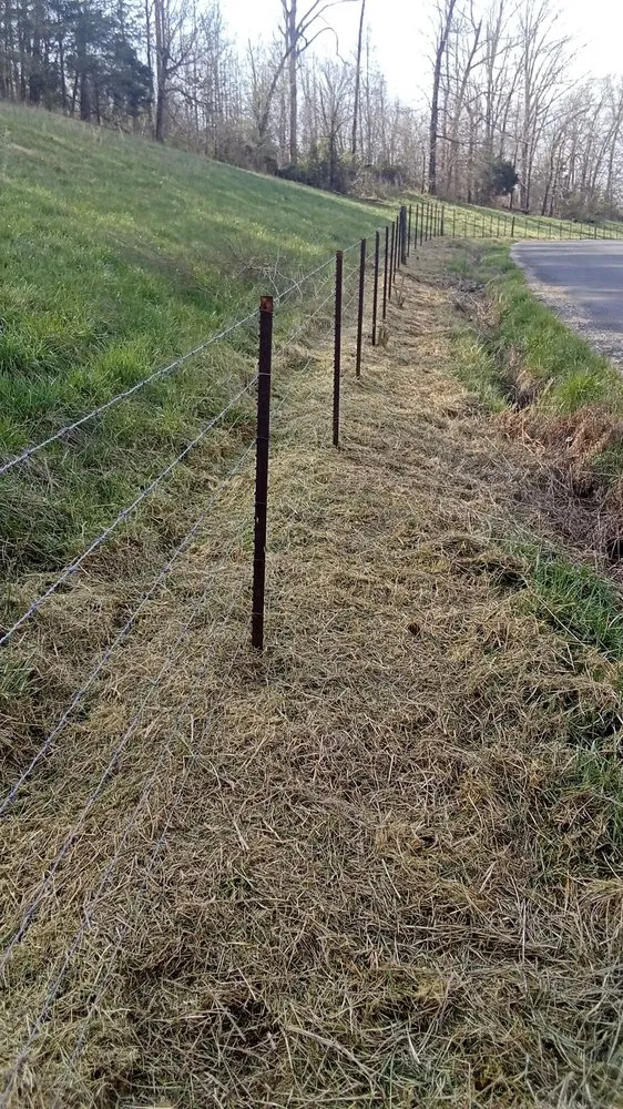 Expert outdoor landscaping for year-round maintenance in Cleveland, TN by Nathan's Lawn Service