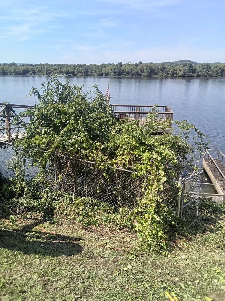 Local landscape design experts serving Decatur, TN - Nathan's Lawn Service