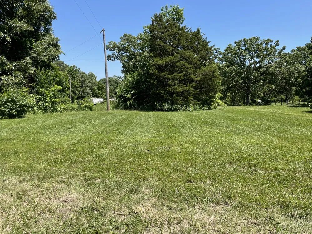 Professional lawn care service in St. Louis, MO - Nathan’s Lawn