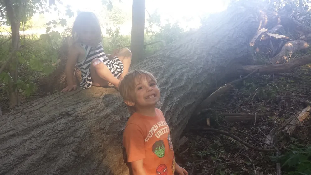 Expert residential landscaping experts serving Brookfield, CT - Nathan's Tree and Landscape