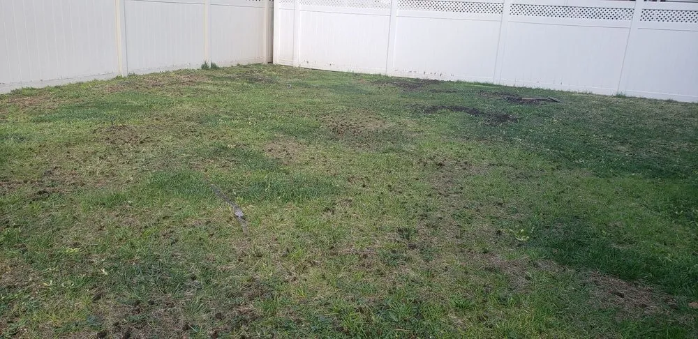 Professional yard maintenance experts serving Fairview, NJ - National General Construction Landscaping