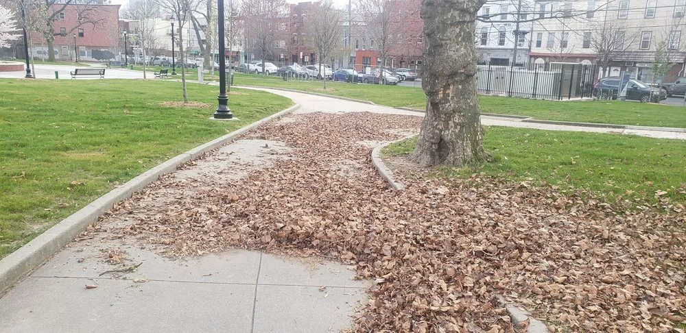 Reliable landscaping services in Fairview, NJ by National General Construction Landscaping