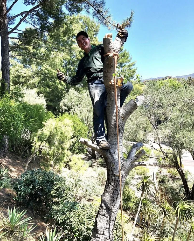 Reliable yard maintenance for outdoor upgrades across Hermosa Beach, CA - National Greens