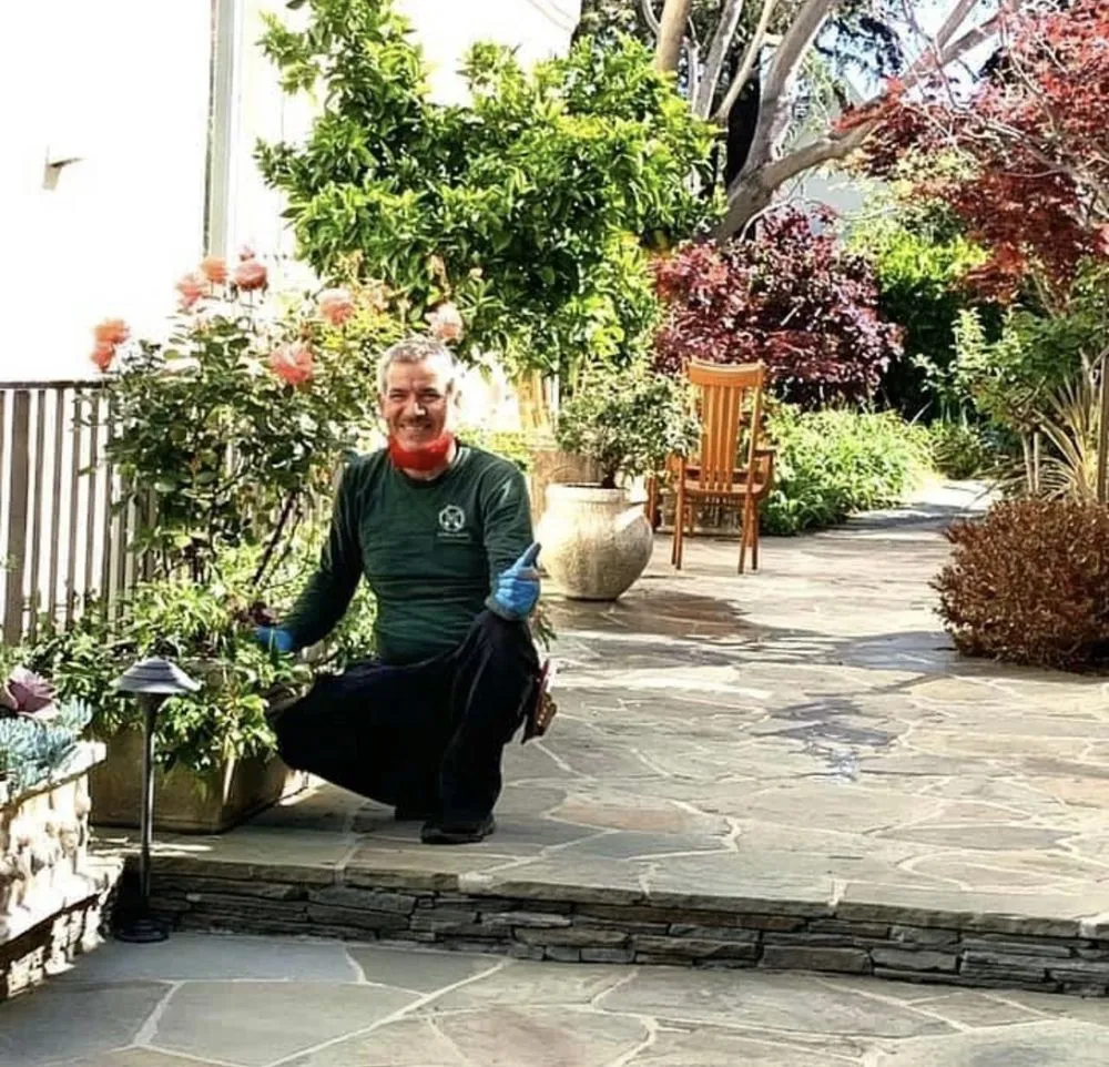 Reliable lawn care service in Hermosa Beach, CA - National Greens