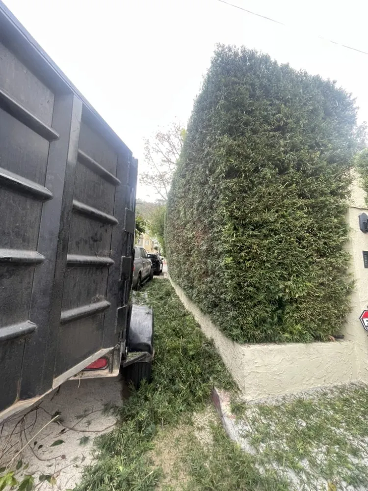 Top-rated outdoor landscaping for residential properties across Hermosa Beach, CA - National Greens