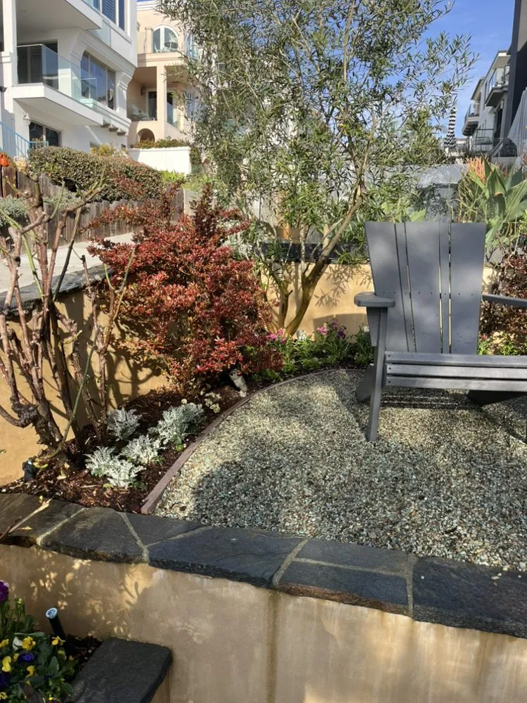 Professional yard maintenance experts serving Hermosa Beach, CA - National Greens