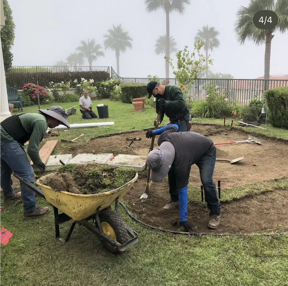 Custom lawn care service for residential properties in Hermosa Beach, CA by National Greens