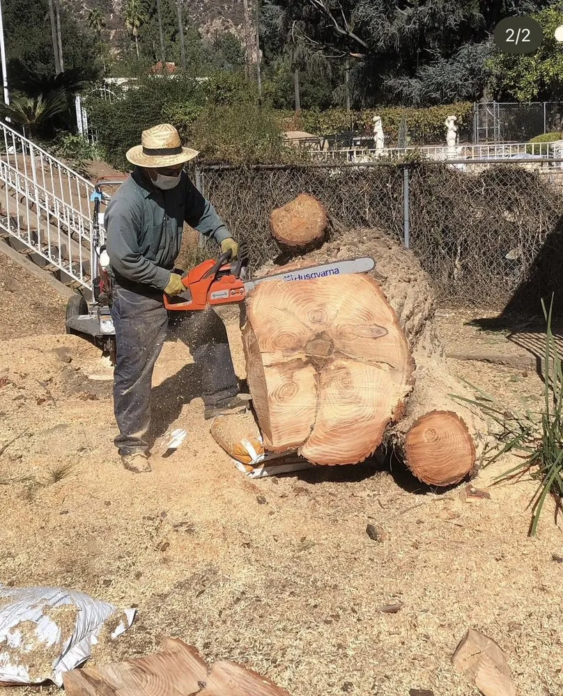 Professional landscape design in Hermosa Beach, CA by National Greens
