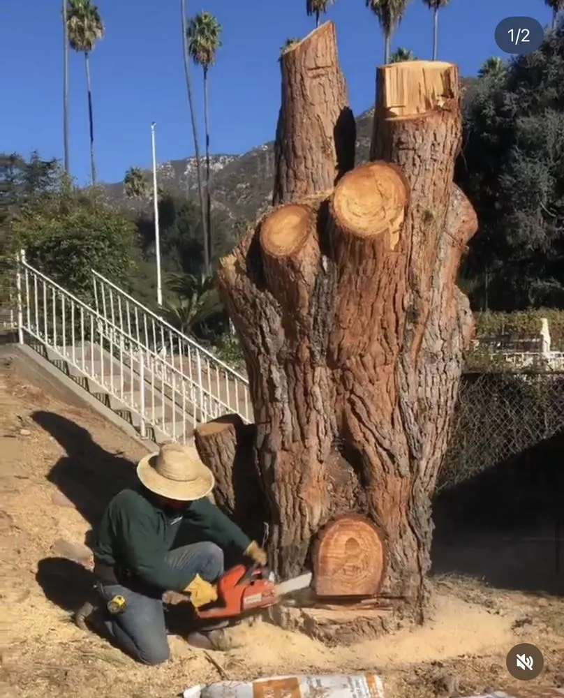 Reliable landscaping services for beautiful yards across Hermosa Beach, CA - National Greens