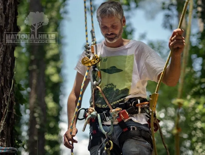 Top-rated outdoor landscaping experts serving Augusta, GA - National Hills Tree Service