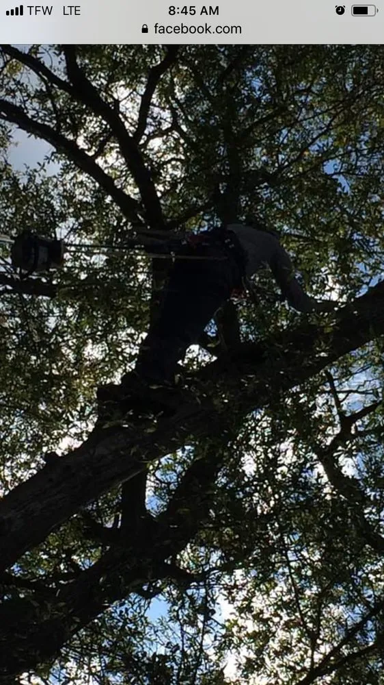 Local garden landscaping in Augusta, GA - National Hills Tree Service