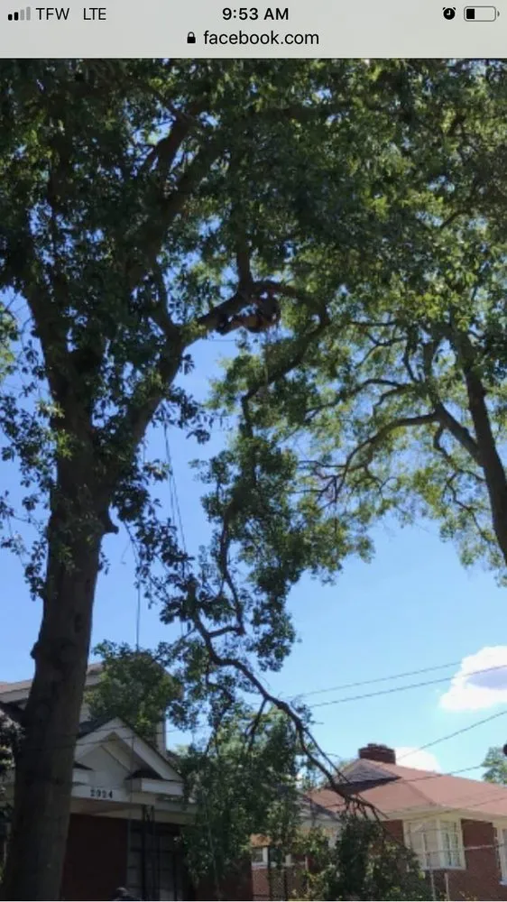 Expert lawn care service for homes in Augusta, GA by National Hills Tree Service