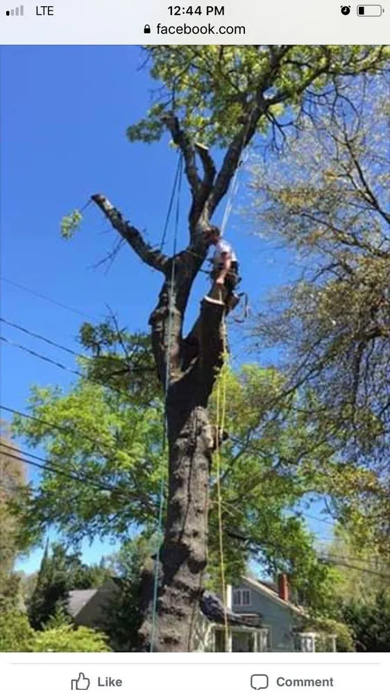 Reliable outdoor landscaping for outdoor upgrades across Augusta, GA - National Hills Tree Service