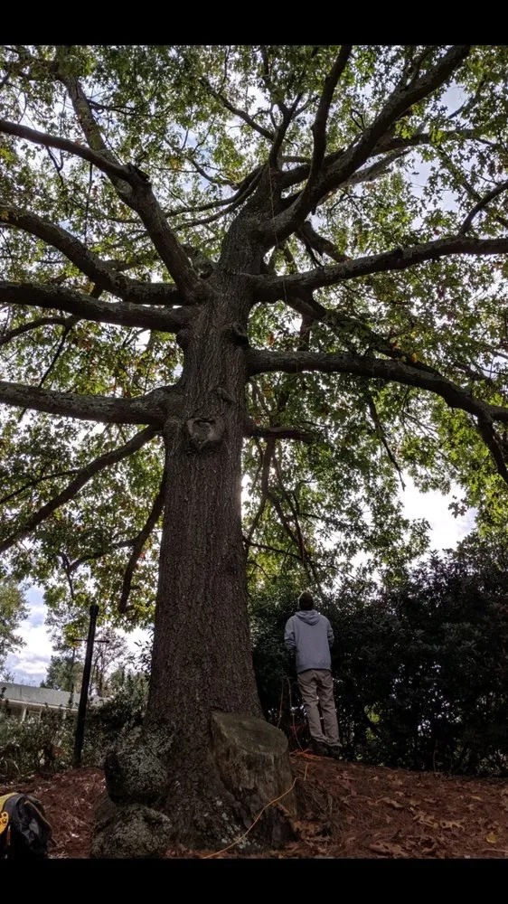 Custom lawn mowing service in Augusta, GA by National Hills Tree Service