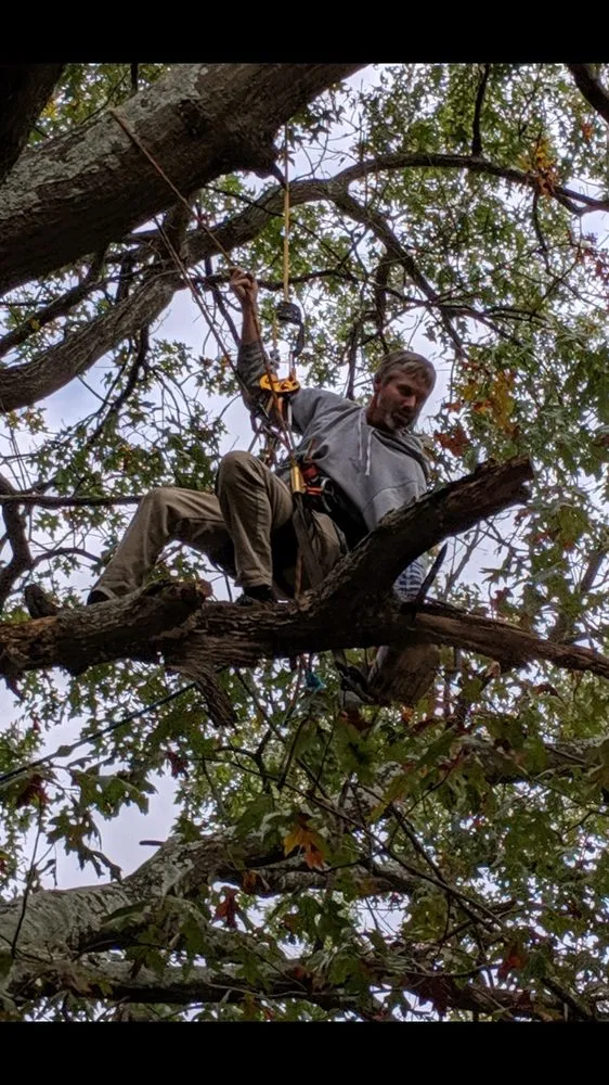 Professional lawn mowing service in Augusta, GA by National Hills Tree Service