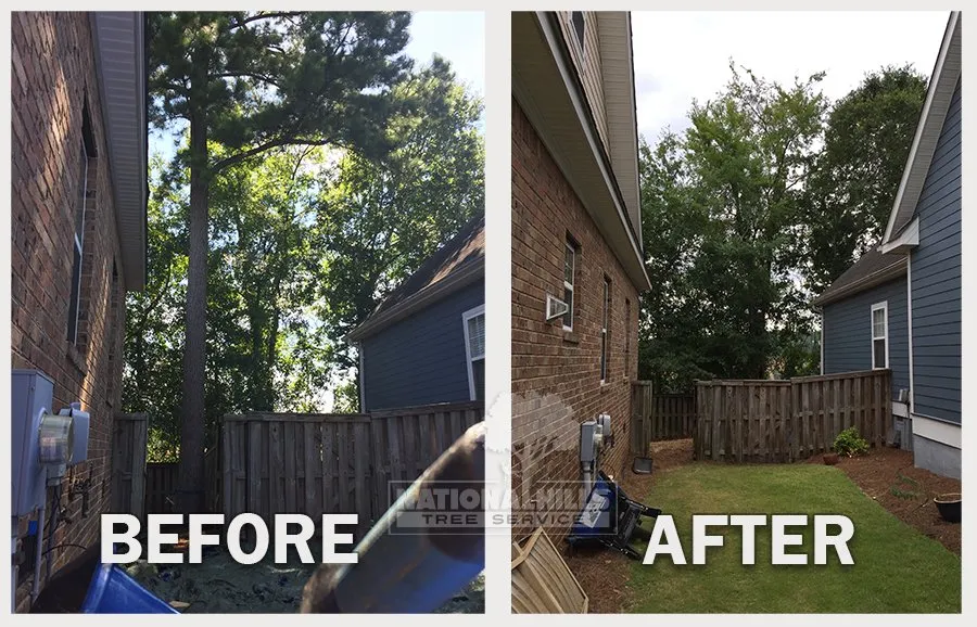 Local garden landscaping in Augusta, GA - National Hills Tree Service