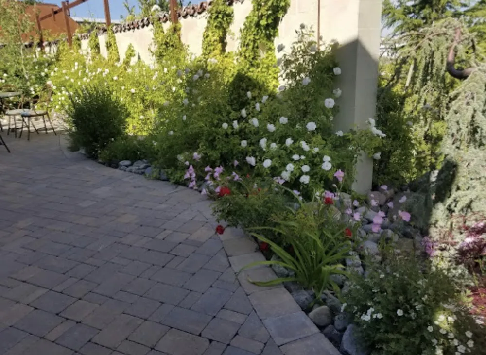 Reliable lawn care service in Reno, NV - National Landscape