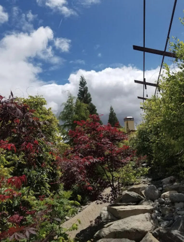Affordable garden landscaping for beautiful yards across Reno, NV - National Landscape