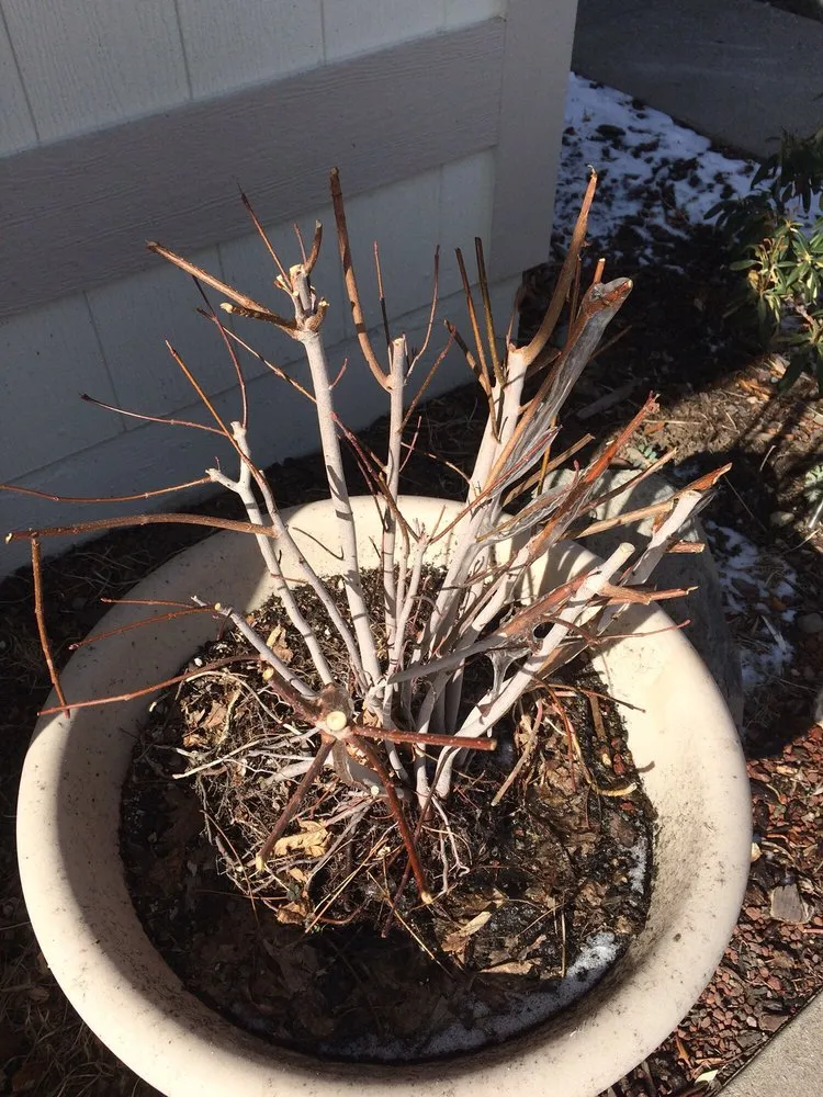 Custom landscaping services experts serving Reno, NV - National Landscape