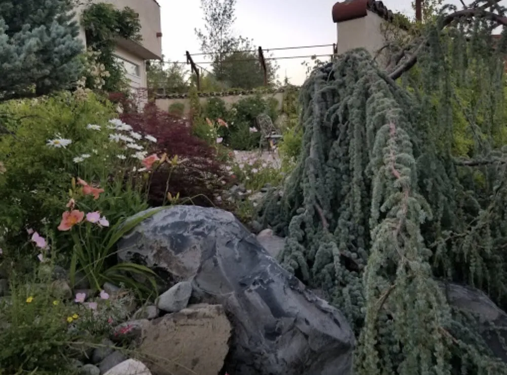 Professional yard maintenance experts serving Reno, NV - National Landscape