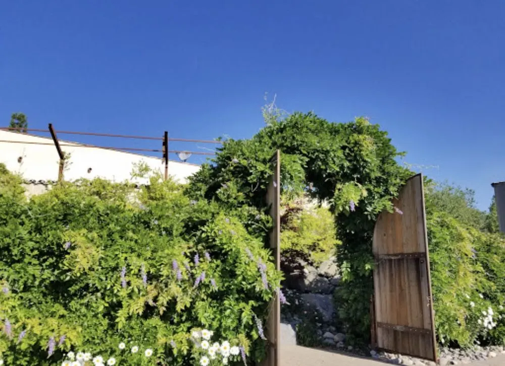 Custom landscape design in Reno, NV by National Landscape