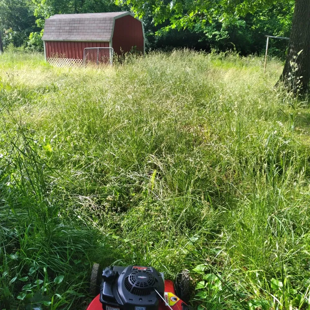 Reliable yard cleanup service in Joplin, MO by National  Lawn Care