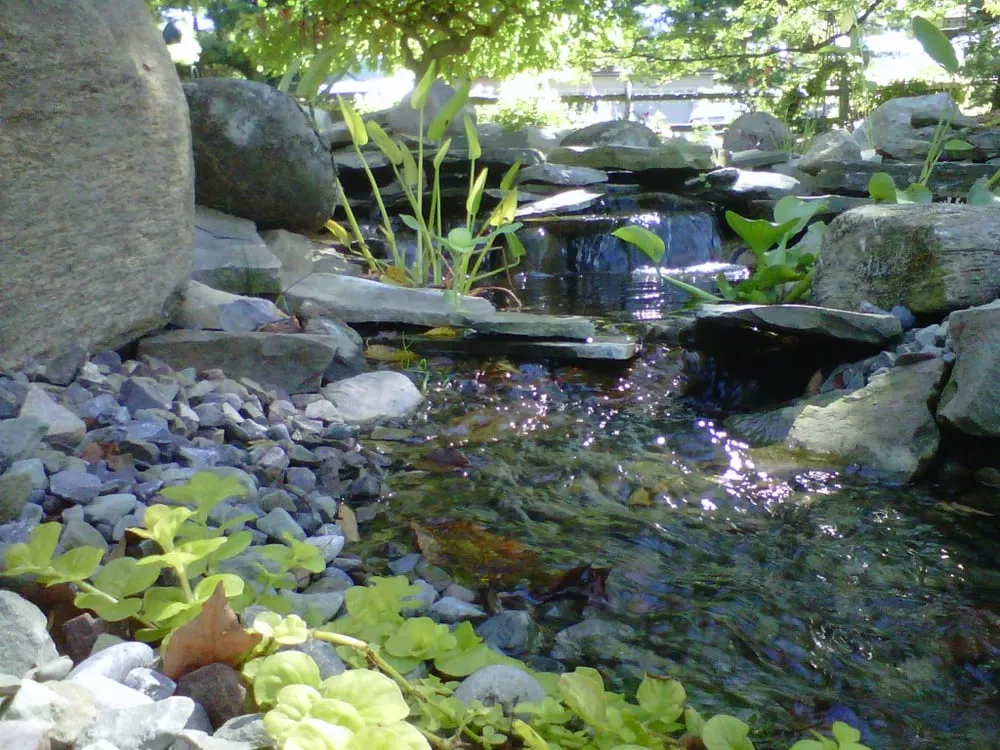 Professional outdoor landscaping for residential properties across Canandaigua, NY - National Pond Service