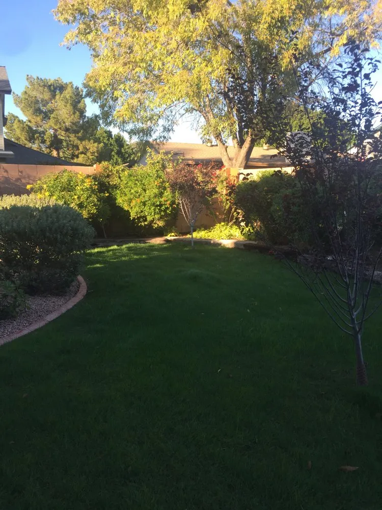 Custom landscape installation for outdoor upgrades across Tempe, AZ - National Pool and Landscape Services
