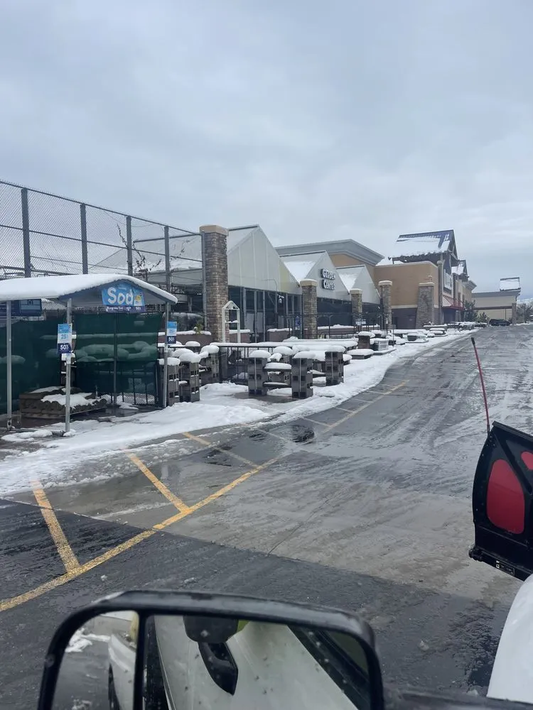 Custom lawn care service near you across Longmont, CO - National Property Maintenance