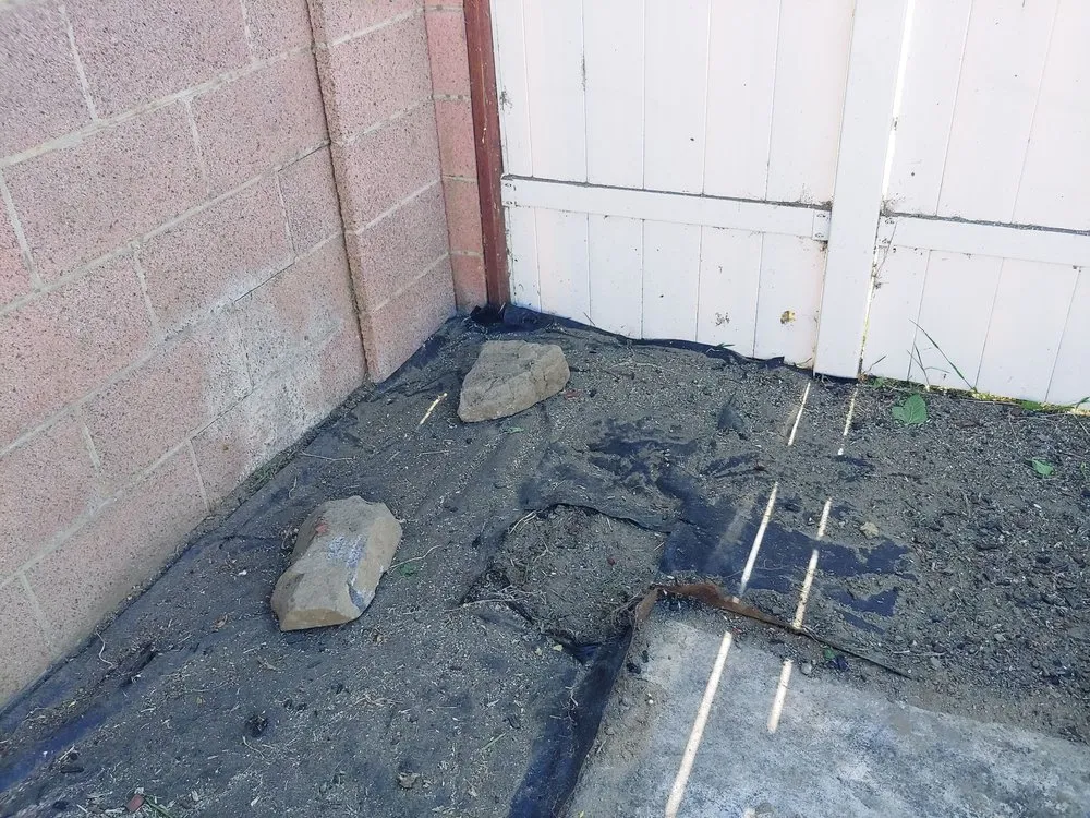 Reliable landscaping services in Anaheim, CA by National Tree Care & Landscape