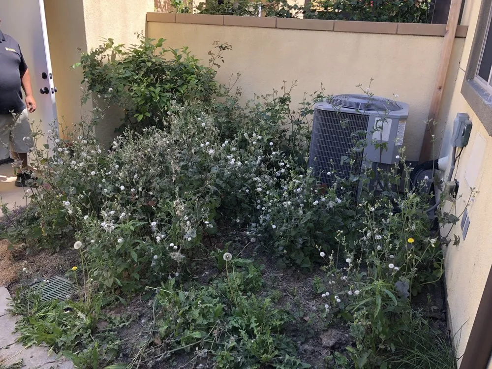 Reliable lawn care service experts serving Anaheim, CA - National Tree Care & Landscape