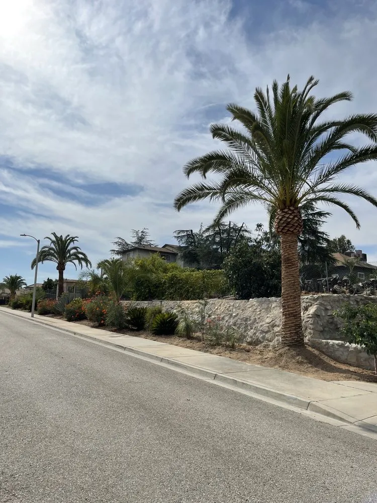 Professional landscape design for year-round maintenance in Anaheim, CA by National Tree Care & Landscape