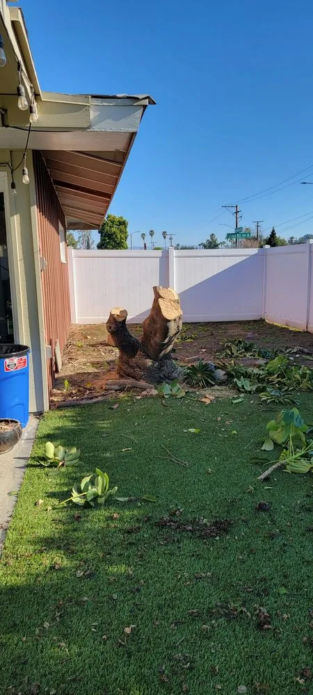 Top-rated outdoor landscaping for residential properties across Anaheim, CA - National Tree Care & Landscape