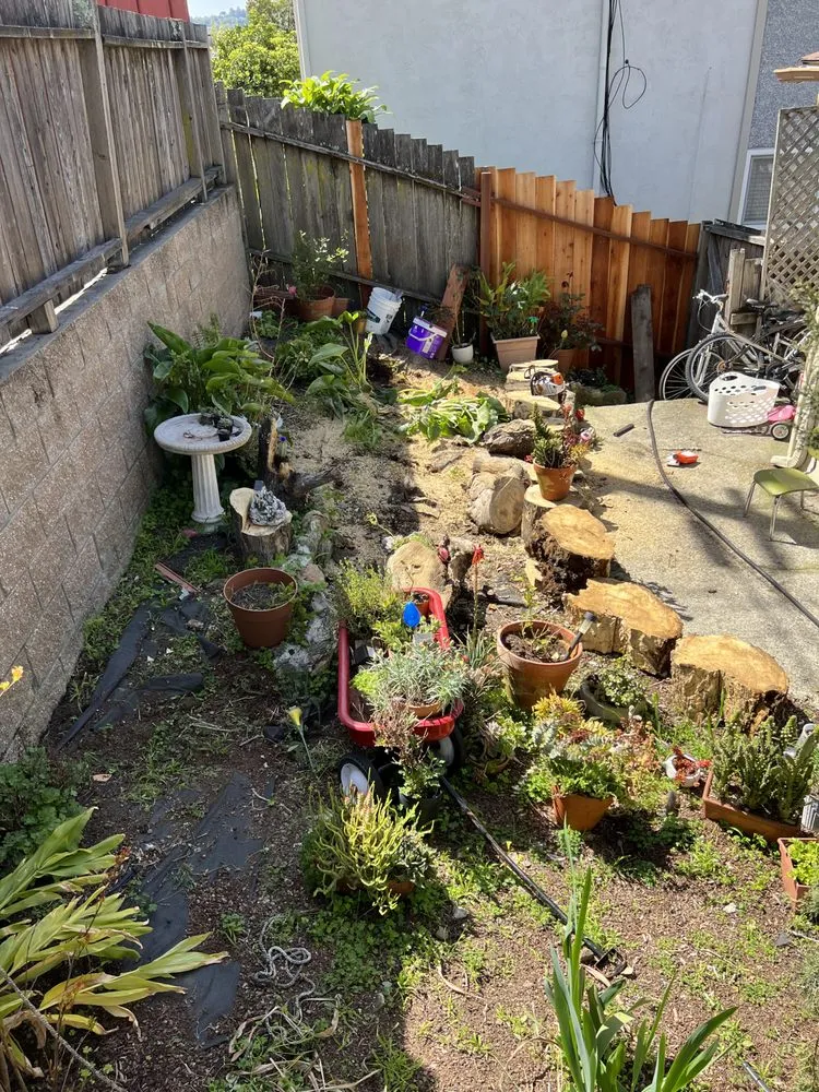 Top-rated lawn care service for year-round maintenance in San Rafael, CA by National Wildfire Prevention