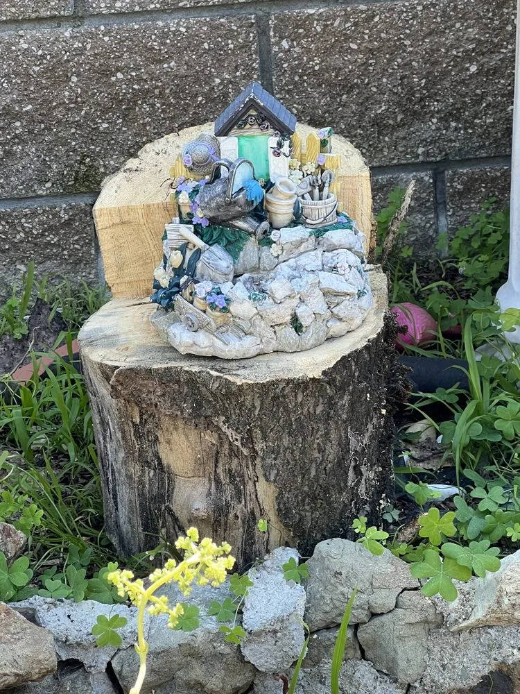 Reliable lawn care service for year-round maintenance in San Rafael, CA by National Wildfire Prevention