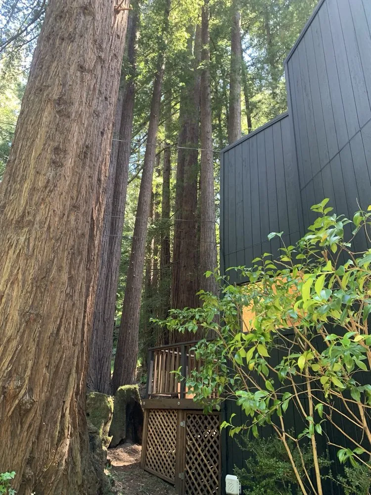 Reliable landscape design in San Rafael, CA - National Wildfire Prevention