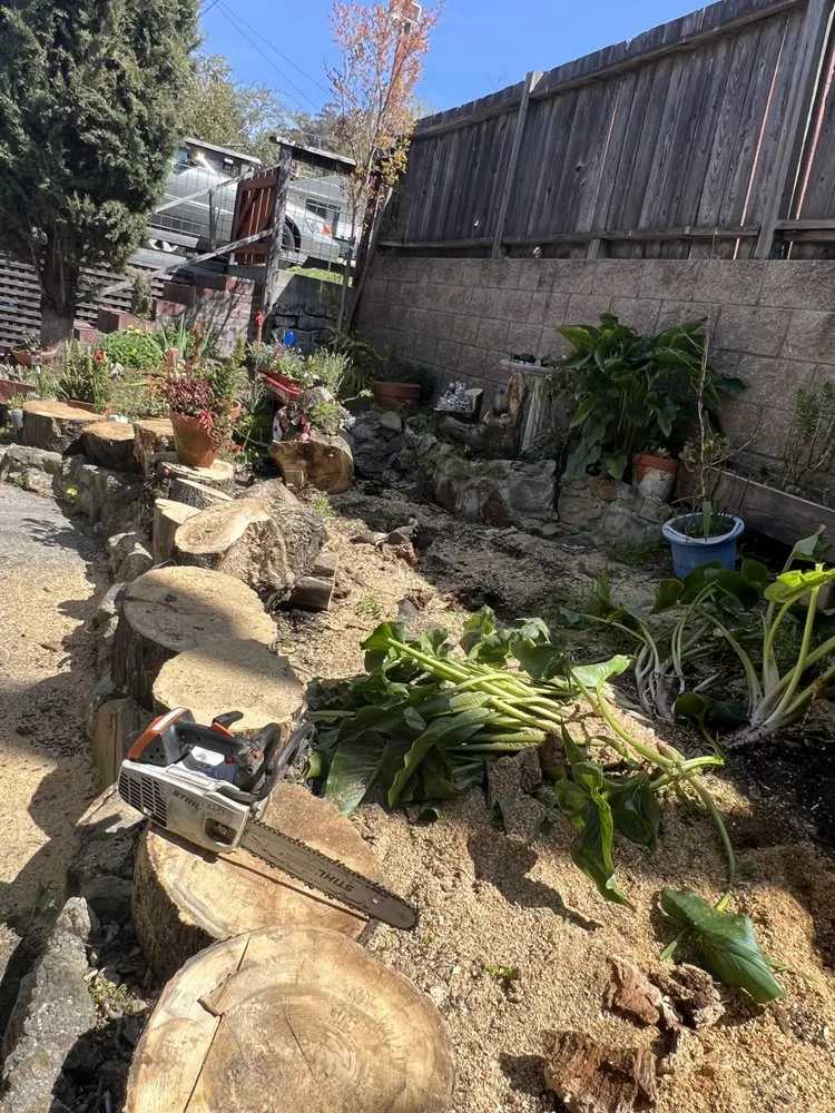 Custom garden landscaping in San Rafael, CA by National Wildfire Prevention