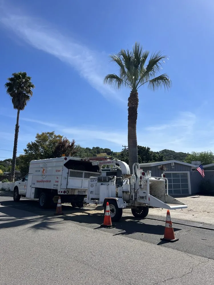 Affordable yard maintenance in San Rafael, CA by National Wildfire Prevention