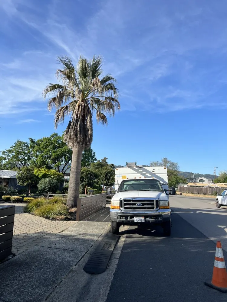 Custom lawn mowing service experts serving San Rafael, CA - National Wildfire Prevention