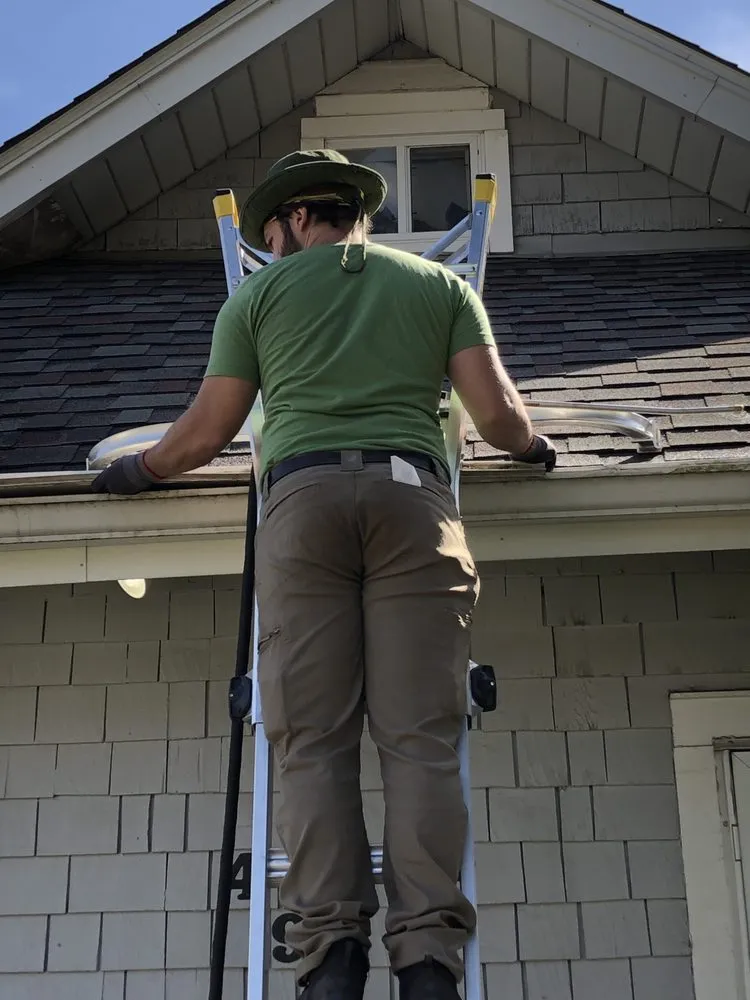 Reliable landscape design in Naperville, IL - National Yard Work